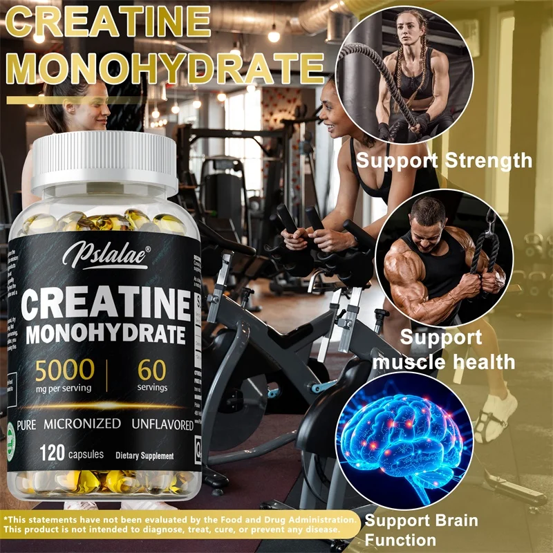 Creatine Monohydrate Capsule - - Pre Workout Supplement review and price